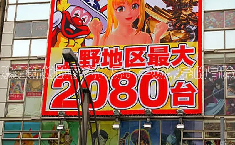 隐婚新娘的秘密世界：一场未完的冒险