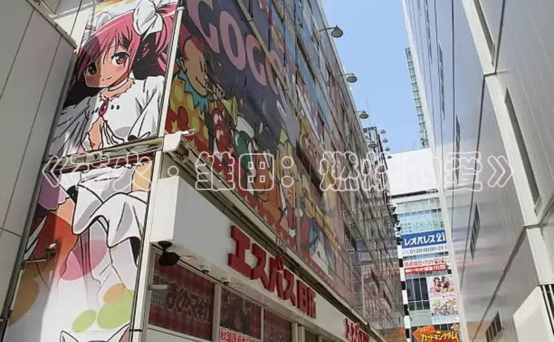 《花火·雏田：燃烧的爱》